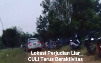 Publik Desak Kapolres Bangka Barat Sikat Bandit Judi Liar di Parittiga Bangka Barat