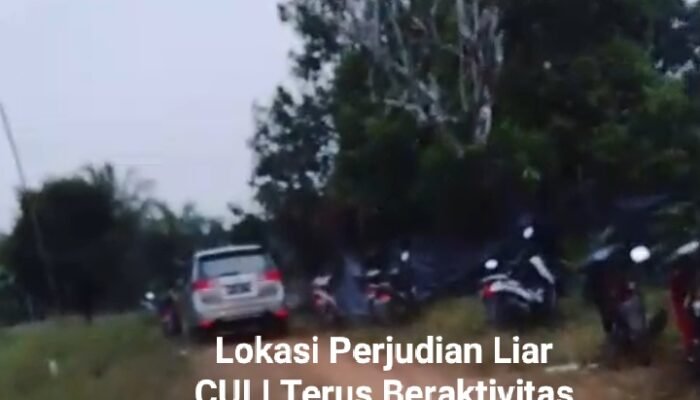 Publik Desak Kapolres Bangka Barat Sikat Bandit Judi Liar di Parittiga Bangka Barat