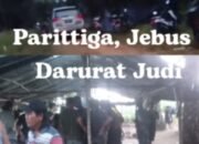 Darurat Judi di Parittiga: Tak Ada Penindakan, Dari Judi  Culi Hingga Sabung Ayam Tiap Jumat, Apa Kabar Polisi?
