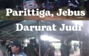 Darurat Judi di Parittiga: Tak Ada Penindakan, Dari Judi  Culi Hingga Sabung Ayam Tiap Jumat, Apa Kabar Polisi?
