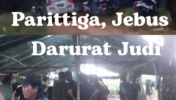Darurat Judi di Parittiga: Tak Ada Penindakan, Dari Judi  Culi Hingga Sabung Ayam Tiap Jumat, Apa Kabar Polisi?
