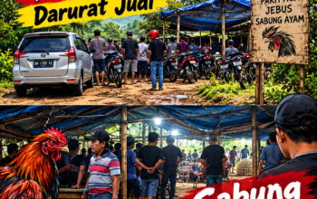 Pertanyaan Warga Parittiga tak Lagi Soal Penindakan Tapi Soal Sosok Kuat di Belakang Culi yang Bikin Polisi Ciut Nyali